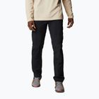 Pantaloni da trekking Columbia Silver Ridge II Cargo neri da uomo