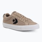 Sneakers Converse Sport Casual Low sand/chocolate