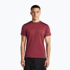 Maglietta da trekking uomo icebreaker Merino 125 Cool-Lite Sphere III port