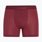 Boxer termici da uomo icebreaker Anatomica Boxers port