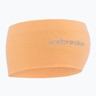 Fascia Icebreaker Merino 200 Oasis feldspato