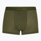 Boxer termico da uomo icebreaker Merino 125 Cool-Lite Anatomica Trunks loden