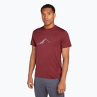 Uomo Icebreaker Merino 150 Tech Lite Southern Constellation port trekking shirt