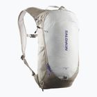 Salomon Trailblazer 10 l zaino da trekking cachi/grigio ghiaccio