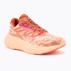 Salomon Aero Glide 2 scarpe da corsa da donna spice route/peach quartz/fresh salmon