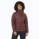 Salomon Elixir Micro Down Jacket Hd rum raisin da donna