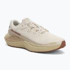 Scarpe da corsa da uomo Salomon Drx Defy GRVL vanilla ice/green haze/white pepper