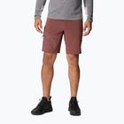 Pantaloncini da trekking Columbia Titan Pass light raisin da uomo