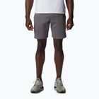 Pantaloncini da trekking Columbia Logo Fleece city grigio erica da uomo