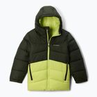 Giacca da sci Columbia Arctic Blast II greenscape/voltage per bambini