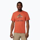Maglietta Columbia Rapid Ridge Graphic da uomo tuscan/heavenly