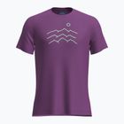 Icebreaker Merino 125 Cool-Lite Sphere Tee Across The Peaks Uomo - Camicia da trekking passionale