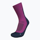 Icebreaker calze da trekking da uomo Merino Hike+ Light Crew IB Solar passion/royal navy/mint