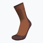 Calze da trekking Icebreaker da donna Merino Hike+ Medium Crew dusty clay/carob