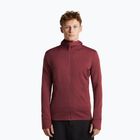 Felpa da uomo Icebreaker Merino 260 Quantum IV LS Zip Hoodie port/agate