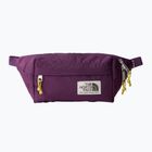 Marsupio The North Face Berkeley Lumbar ribes nero viola/giallo limo