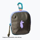 Bustina Cotopaxi Allpita Mini of the day