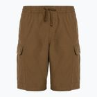 Pantaloncini larghi Vans Range Cargo da uomo