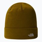 Cappello da trekking da uomo The North Face Norm Beanie verde muschio