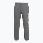 Pantaloni da uomo The North Face Varsity Graphic grigio erica medio