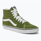 Scarpe Vans SK8-Hi teoria del pesto