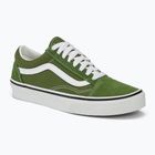 Scarpe Vans Old Skool teoria del pesto