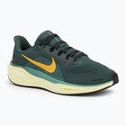 Scarpe da corsa uomo Nike Pegasus 41 verde vintage / bicoastal / nero / oro infinito