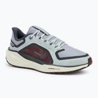 Nike Pegasus 41 GTX scarpe da corsa donna pumice chiaro/ bordeaux cotta/ grigio fumo scuro/ ardesia cenere