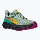 Scarpe da corsa da donna HOKA Challenger ATR 7 aloe vera/nero