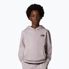 Felpa da bambino The North Face Teen Simple Dome Hoodie grigio pietra di luna