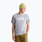 T-shirt da uomo The North Face Evolution Half Dome tnf pale grey heather
