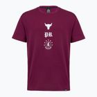 Maglia training da uomo Under Armour Project Rock Terry Q3 purple
