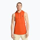 Maglia training da uomo Under Armour Project Rock Payoff SL HD orange