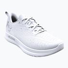 Scarpe da corsa da uomo Under Armour Velociti 4 bianco/bianco/bianco