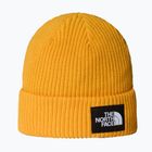 Berretto invernale The North Face Salty Lined