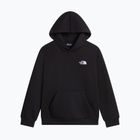 Felpa bambini The North Face Evolution Simple Dome Pullover Hood tnf black