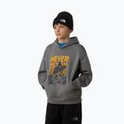 Felpa bambini The North Face Sports Oversized Hoodie Graphic smoked pearl