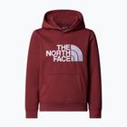 Felpa per bambini The North Face Teen Drew Peak Pullover Hoodie sumac