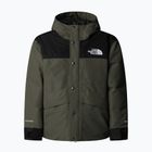Giacca impermeabile per bambini The North Face Mountain Down new taupe green