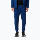 Pantaloni da uomo The North Face Mountain Athletics Fleece blu estate/blu navy summit