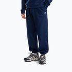 Felpa da uomo The North Face Evolution Simple Dome Regular Hoodie summit navy