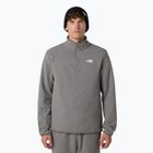 Felpa in pile da uomo The North Face Glacier Fleece 1/4 Zip grigio erica medio