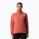 Felpa in pile da donna The North Face Glacier Fleece polvere di mars
