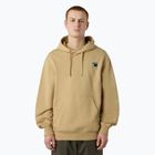 Felpa da uomo The North Face Mountain Logo Relaxed con cappuccio khaki stone