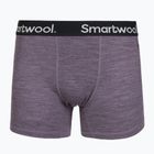 Boxer termici da uomo Smartwool Merino Boxer Brief Boxed purple storm heather