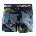Boxer termici da uomo Smartwool Merino Print Boxer Brief Boxed blue sum sector