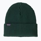 Patagonia Fishermans Rolled Beanie berretto invernale verde cascata
