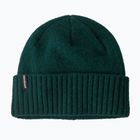 Patagonia Brodeo Beanie berretto invernale verde cascata