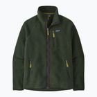 Felpa trekking da uomo Patagonia Retro Pile old growth green