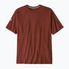 Camicia Fitz Roy Icon Responsibili-Tee da uomo di Patagonia, asciugata alla vaniglia